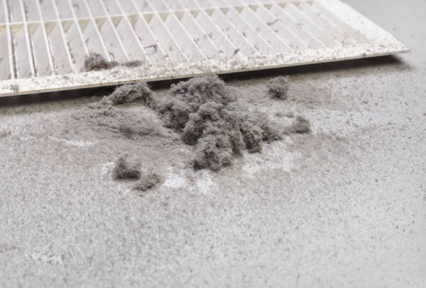 Best HVAC Maintenance and Cleaning  in Oak Leaf, TX
