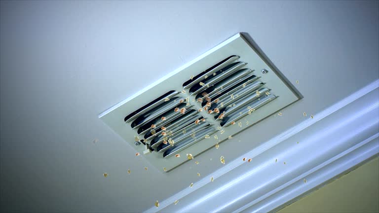 Best Residential Air Duct Cleaning  in Oak Leaf, TX